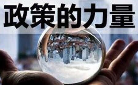 政策的力量 政策的力量